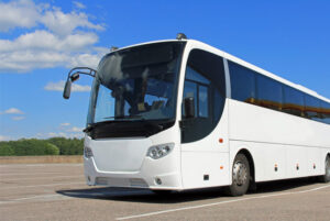 Carnet autobús en Valencia